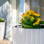 Dikella 3 Bdr Summer House Vakantiehuis *
